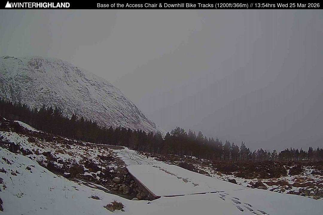 Web Cam Currently Unavailable