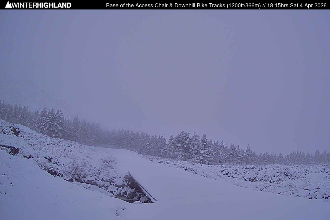 Web Cam Currently Unavailable