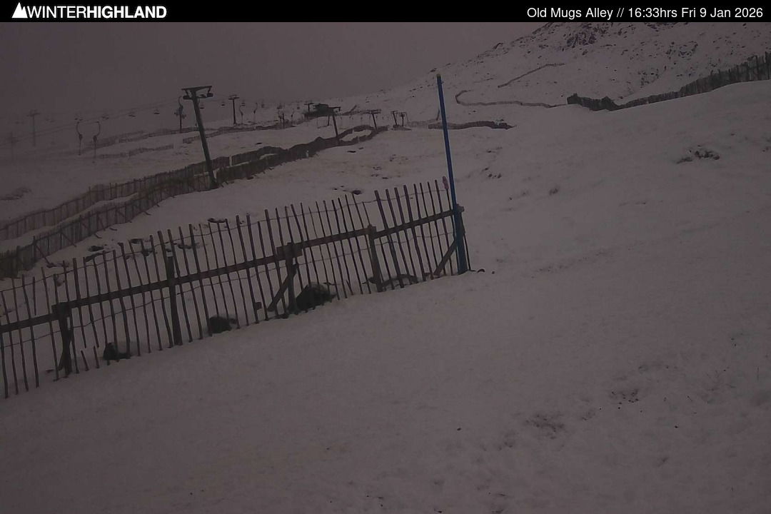 Web Cam Currently Unavailable