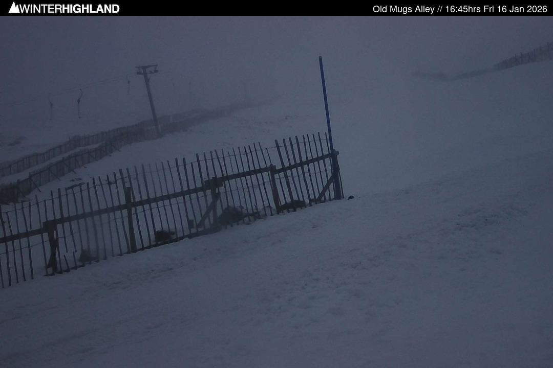 Web Cam Currently Unavailable