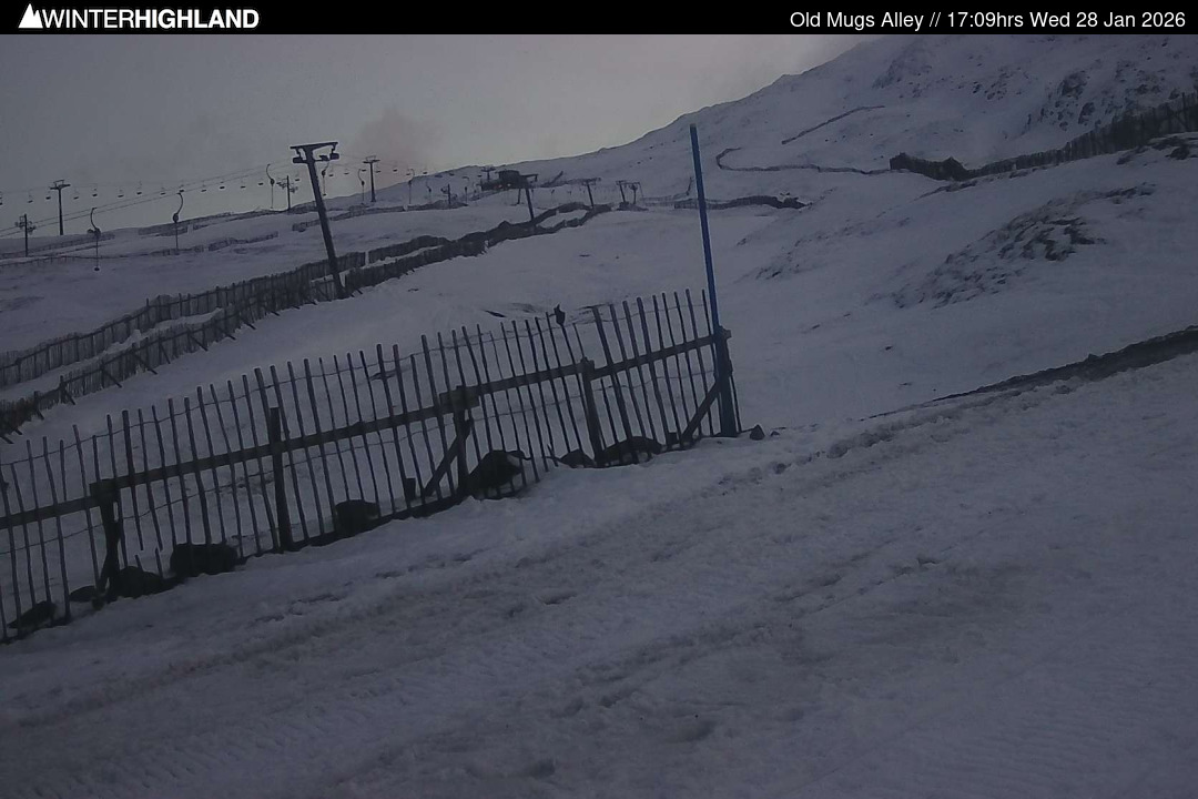 Web Cam Currently Unavailable