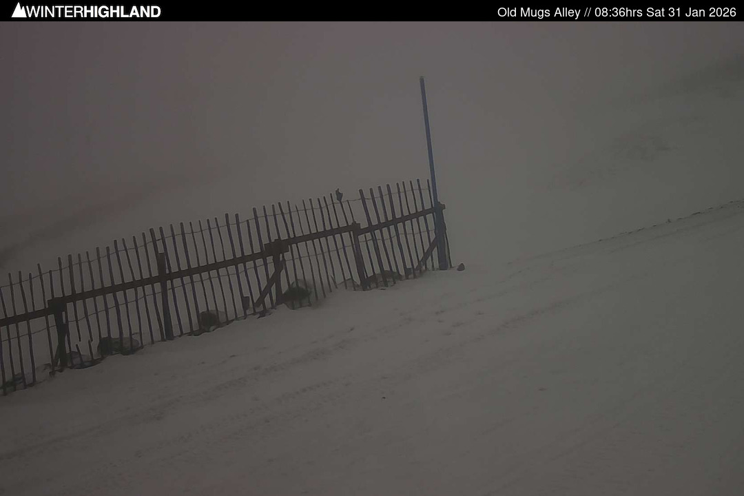 Web Cam Currently Unavailable