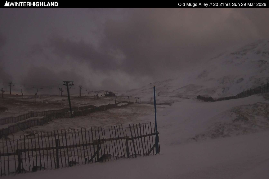 Web Cam Currently Unavailable